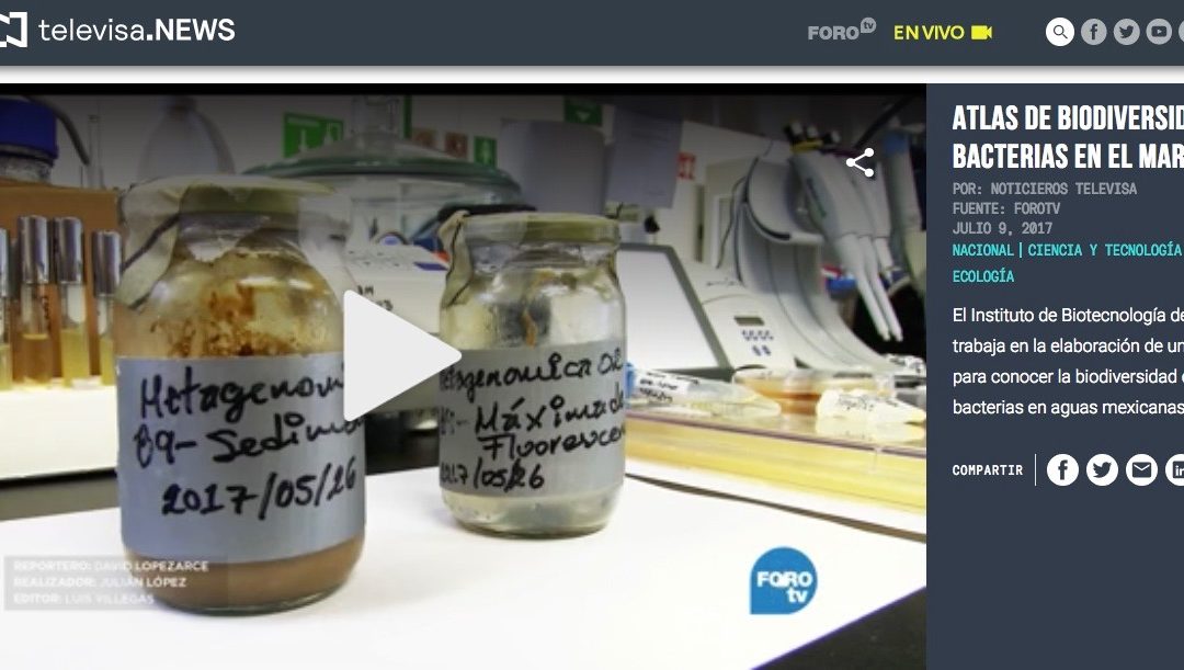 Reportaje “Atlas de biodiversidad de bacterias en el mar”