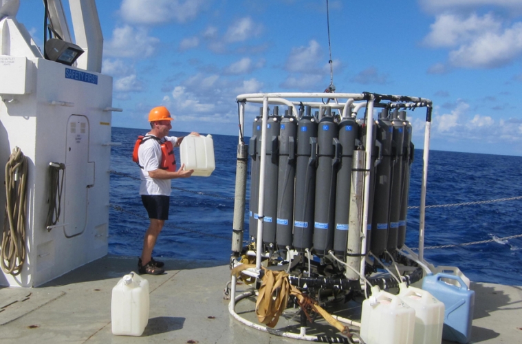 Científicos analizan el ecosistema del Golfo de México