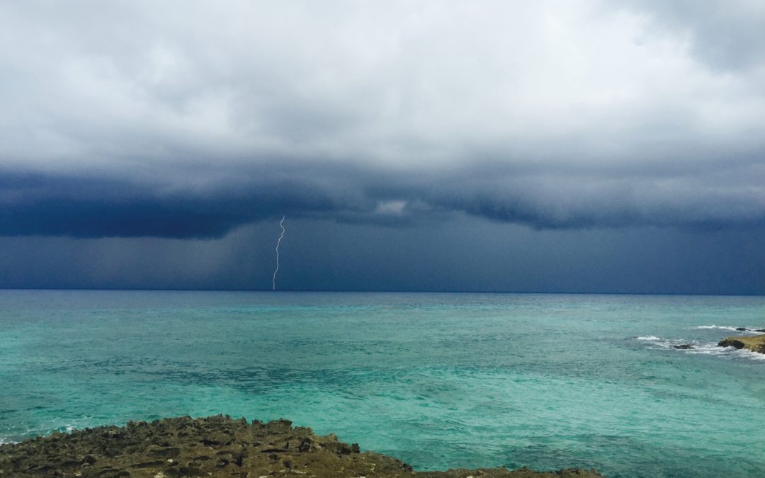 2nd Marine Biodiversity Workshop: from the Sea to the Cloud