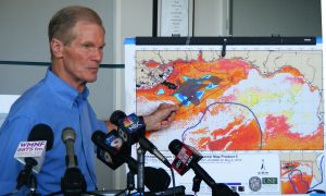 USF scientist talks about the health of the Gulf of Mexico 9 years after the BP oil disaster