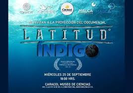 Latitud Índigo, un vistazo a la vida marina