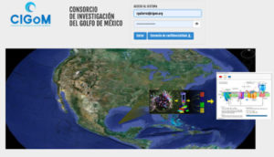 Integrado modulos metabolicos
