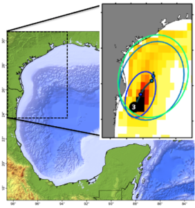 Corrientes y Oleaje Superficial NOGOM