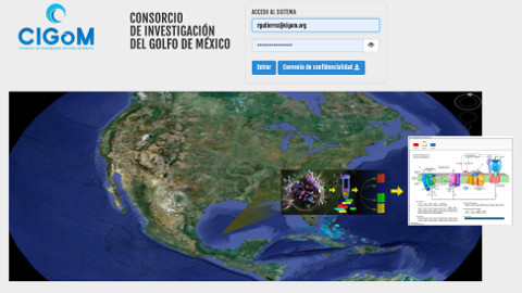 plataforma-relacional Plataforma Base Datos Relacional