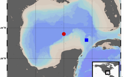 Chemical Profiling Provides Insights into the Metabolic Machinery of Hydrocarbon-Degrading Deep-Sea Microbes