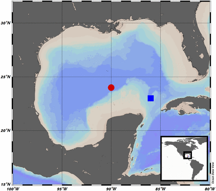 Chemical Profiling Provides Insights into the Metabolic Machinery of Hydrocarbon-Degrading Deep-Sea Microbes