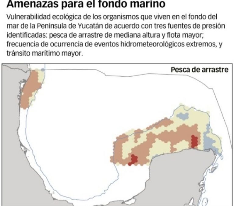 Almacenes de dióxido de carbono