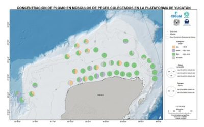 La contaminación química y la salud de los organismos del Golfo de México