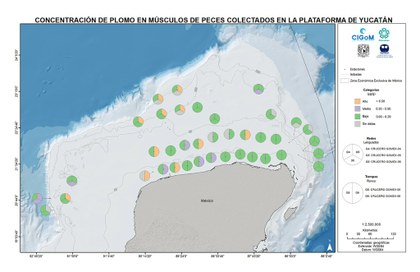 La contaminación química y la salud de los organismos del Golfo de México
