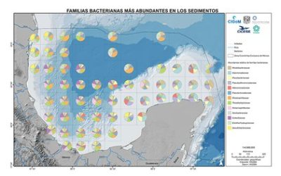 La diversidad bacteriana del Golfo de México plasmada en un atlas