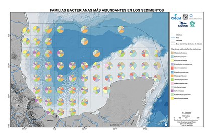 La diversidad bacteriana del Golfo de México plasmada en un atlas