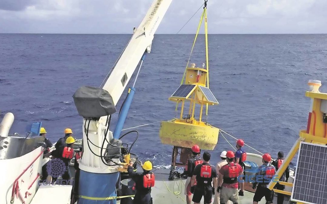 Piden recursos para vigilancia permanente del Golfo de México
