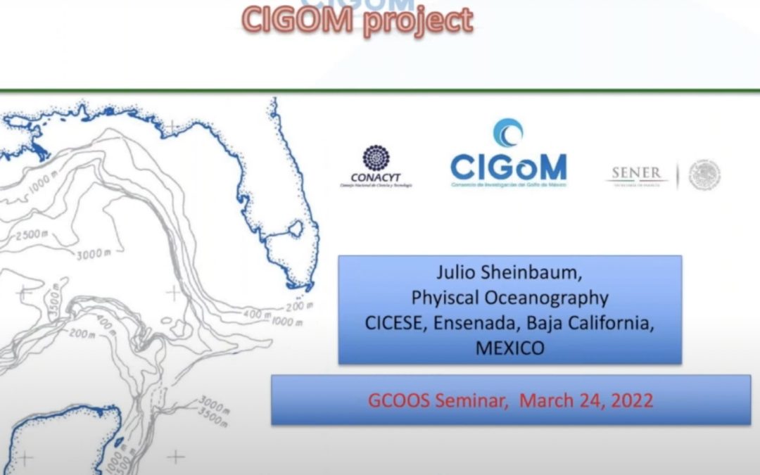 GCOOS Spring Webinar Series, Part 2 — Dr. Julio Sheinbaum