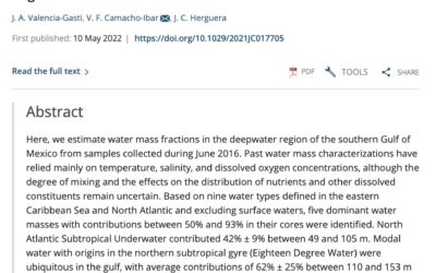 Water Mass Structure and Mixing Fractions in the Deepwater Region of the Gulf of Mexico