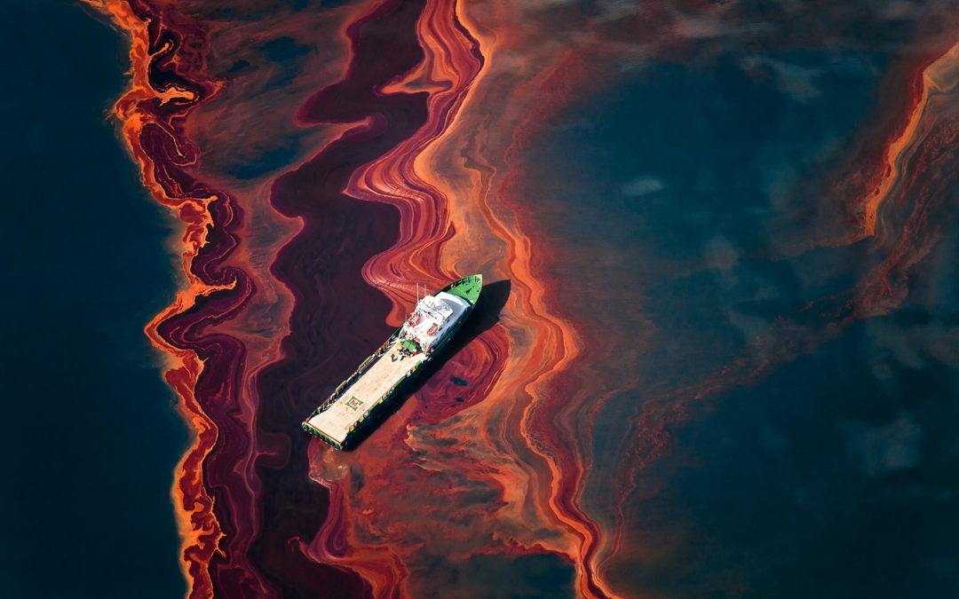 MUSA VERDE: La Belleza de la Ciencia; el caso del CIGoM y el Atlas Oceanográfico del Golfo de México