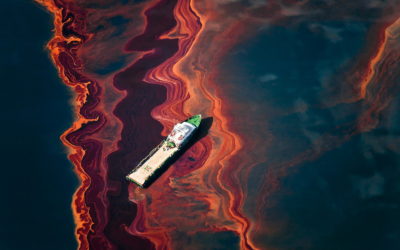 MUSA VERDE: La Belleza de la Ciencia; el caso del CIGoM y el Atlas Oceanográfico del Golfo de México