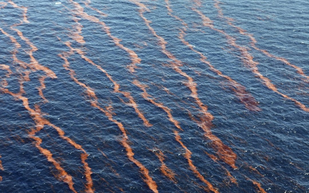 Bacterias combaten derrames de petróleo en el Golfo de México: Cigom