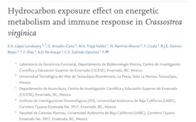 Hydrocarbon exposure effect on energetic metabolism and immune response in Crassostrea virginica