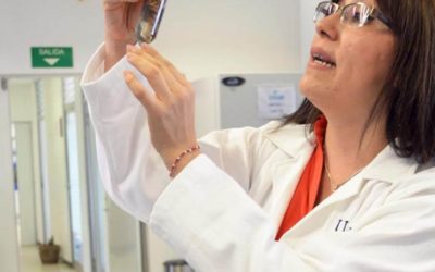 Identifican 43 bacterias capaces de degradar petróleo
