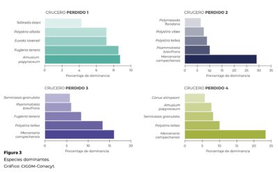 Moluscos del Cinturón Plegado Perdido