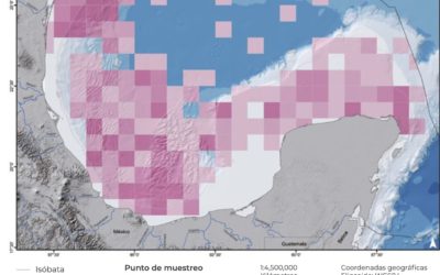 La riqueza de la diversidad bacteriana