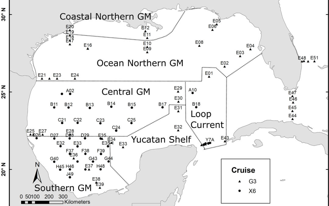 A gulf-wide synoptic isoscape of zooplankton isotope ratios reveals the importance of nitrogen fixation in supporting secondary production in the central Gulf of Mexico