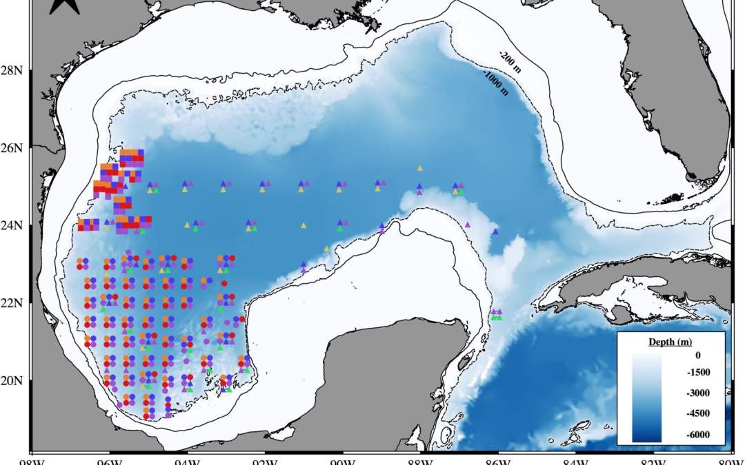 Distribution and densities of fish larvae species with contrasting life histories as a function of oceanographic variables in the deep-water region of the southern Gulf of Mexico