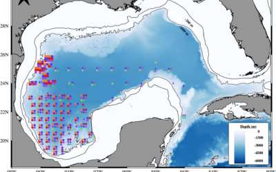 Distribution and densities of fish larvae species with contrasting life histories as a function of oceanographic variables in the deep-water region of the southern Gulf of Mexico