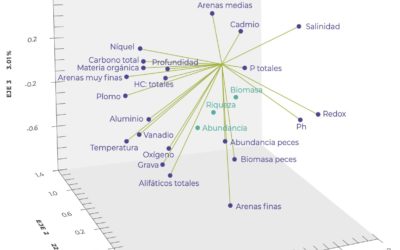 Crustáceos de la Plataforma de Yucatán