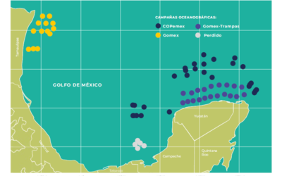 Bioacumulación de contaminantes en peces