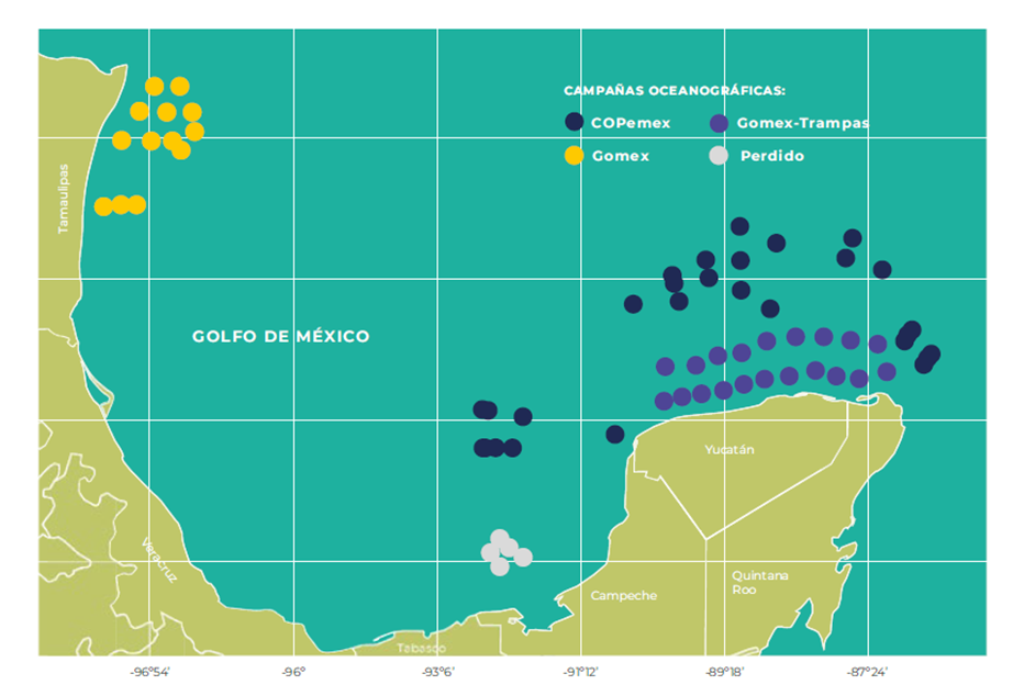 Bioacumulación de contaminantes en peces