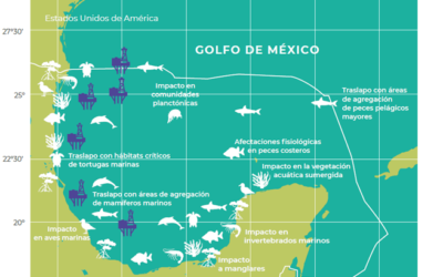 Afectación a los ecosistemas marinos por derrames de petróleo