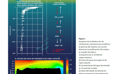 Acidificación del océano