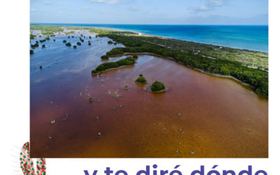 Dime dónde lo has visto y te diré dónde podría estar