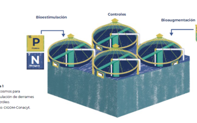 Simulación de derrames de petróleo a escala de mesocosmos