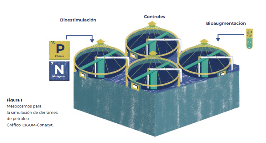 Simulación de derrames de petróleo a escala de mesocosmos