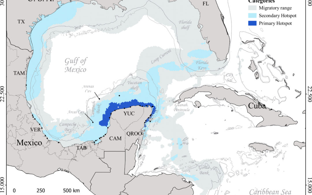 Marine turtle hotspots in the Gulf of Mexico and Mesoamerican Reef: Strengthening management and preparedness