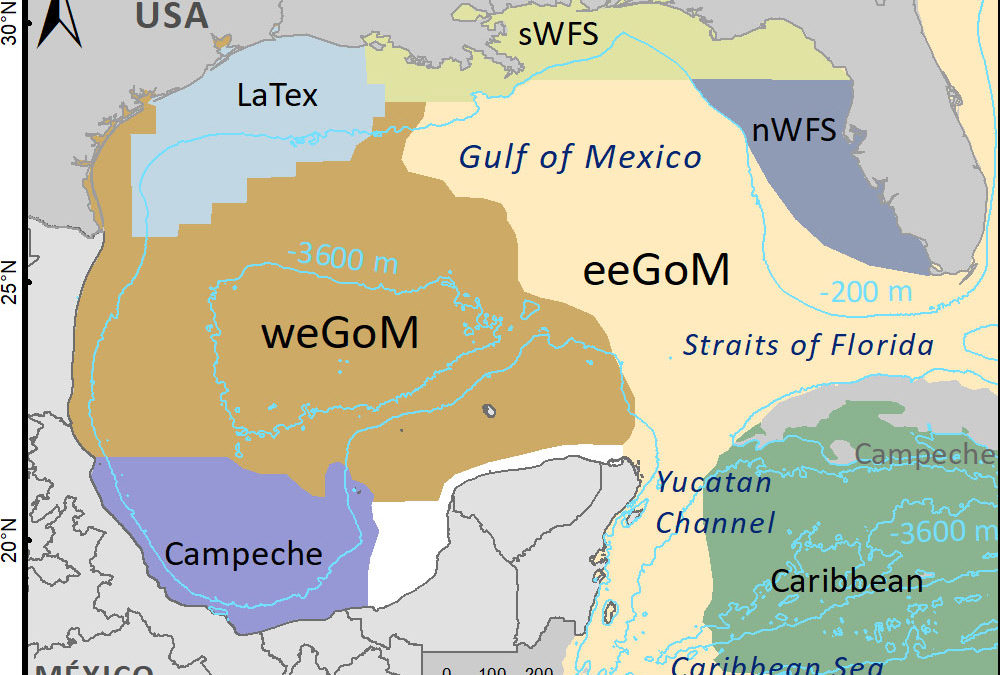 Genetic connectivity in Twospot flounder (Bothus robinsi) across the Gulf of Mexico, inferred with single nucleotide polymorphisms from larvae and adults