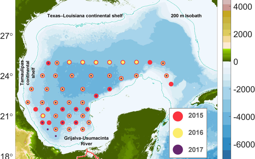 Particulate organic carbon in the deep-water region of the Gulf of Mexico