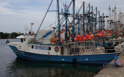 Atlas ambiental del golfo de México