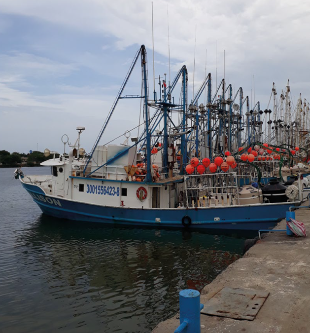 Atlas ambiental del golfo de México