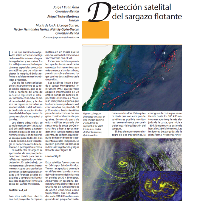 Detección satelital del sargazo flotante