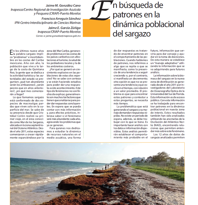 En búsqueda de patrones en la dinámica poblacional del sargazo