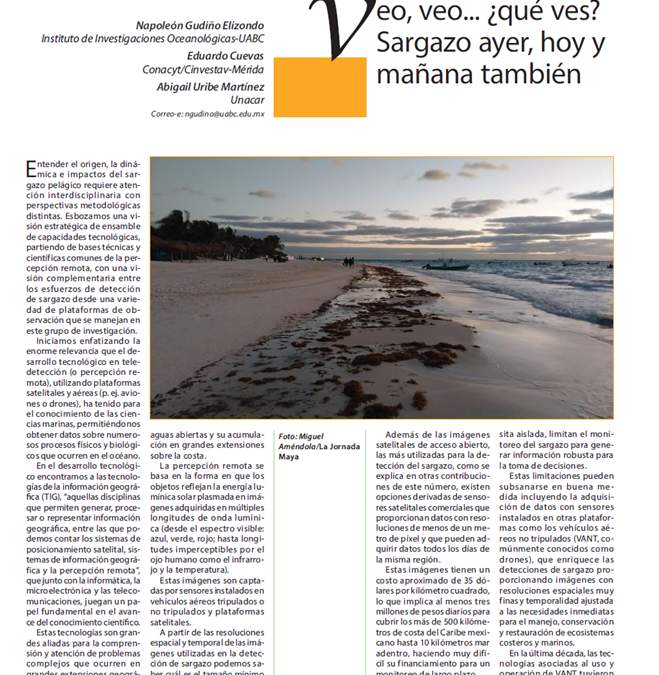 Veo, veo… ¿qué ves?, sargazo ayer, hoy y mañana también