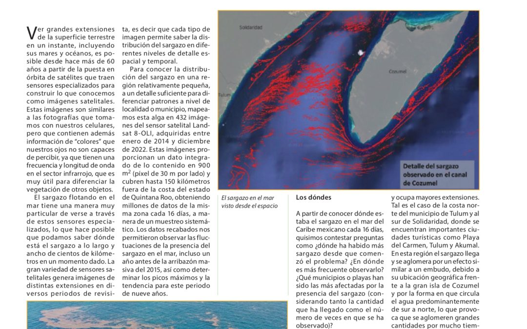 Lo que sabemos a ocho años de monitoreo satelital sistemático