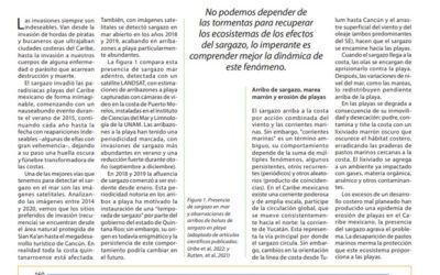 Sargazo en las playas: ¿el sistema natural tiene capacidad de autorrecuperación?