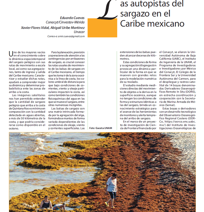 Las autopistas del sargazo en el Caribe mexicano
