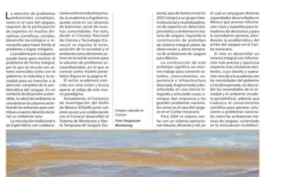 El sargazo, un problema ambiental complejo que requiere innovación