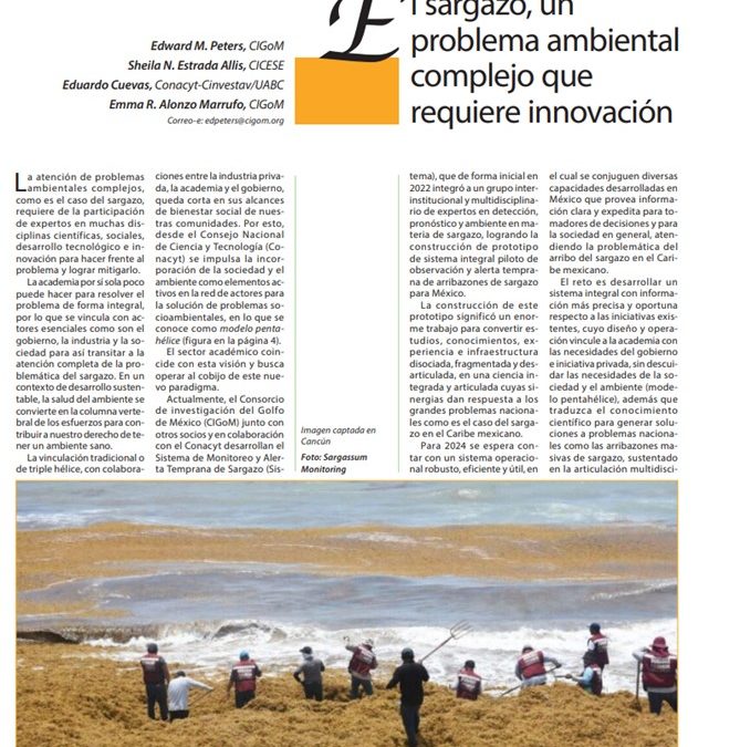 El sargazo, un problema ambiental complejo que requiere innovación