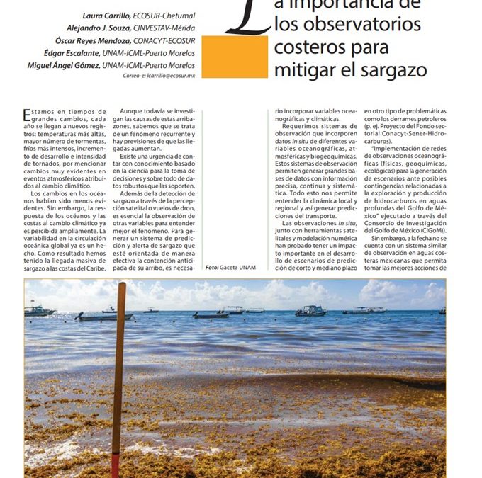 La importancia de los observatorios costeros para mitigar el sargazo
